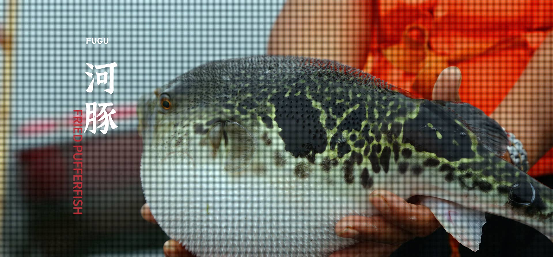 ag����(�й���)����