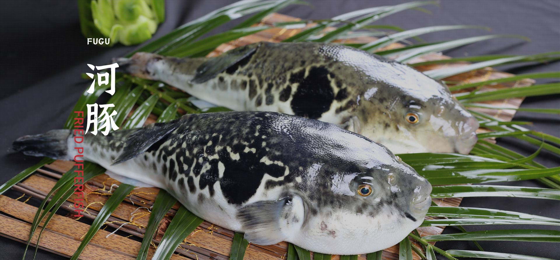 ag����(�й���)����